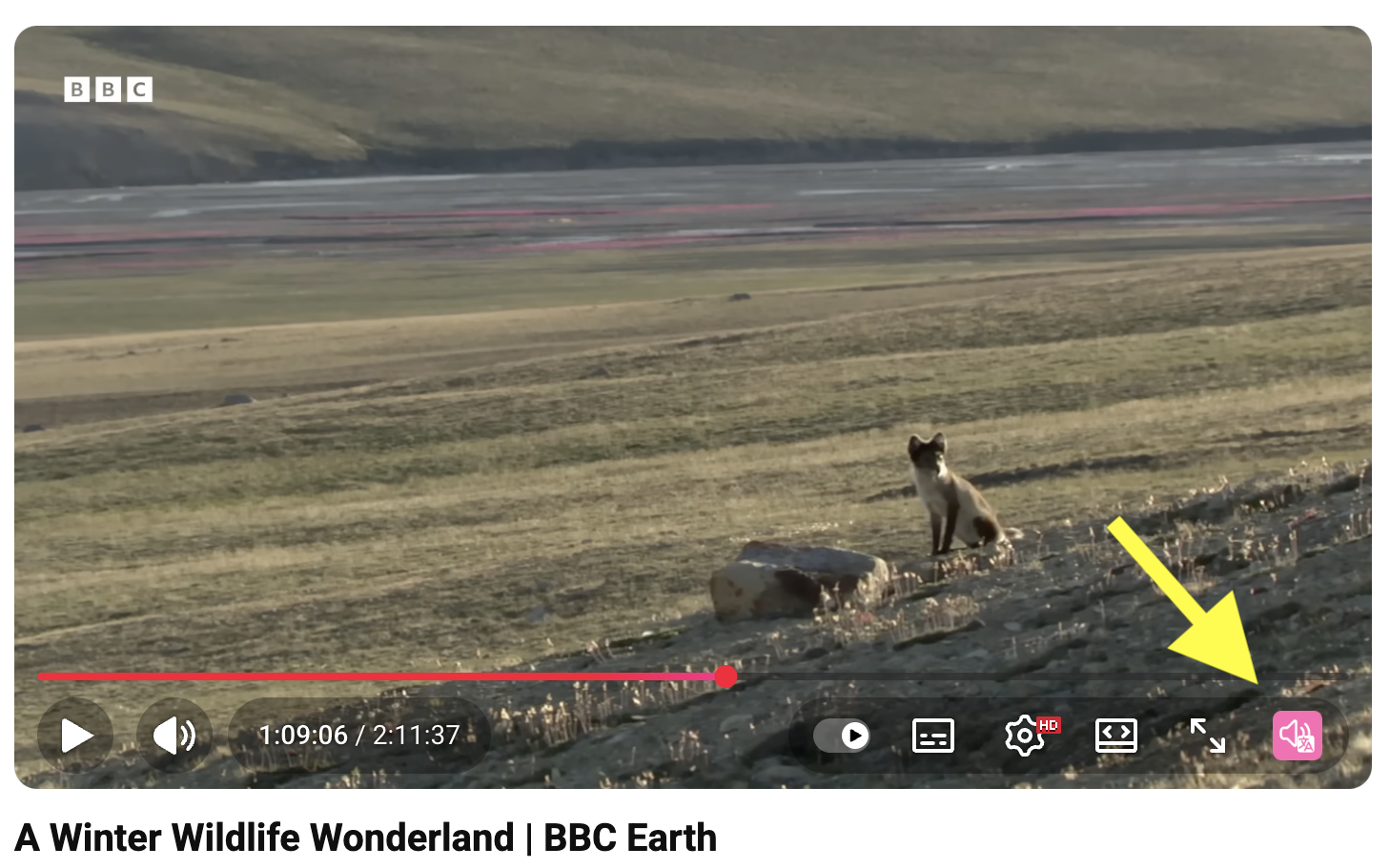 AutoDub Extension Screenshot